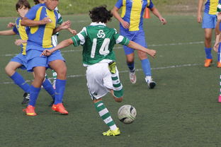 乐鱼电竞在线平台登录入口-中国足球市场品牌价值提升路径，中国足球市场品牌价值提升路径研究